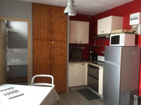 Studio pour 4 personnes avec ascenseur, parking gratuit et accès direct aux pistes - FR-1-602-82